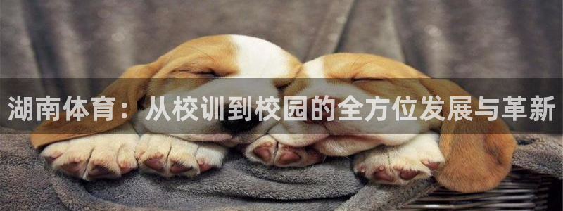沐鸣23官网登录