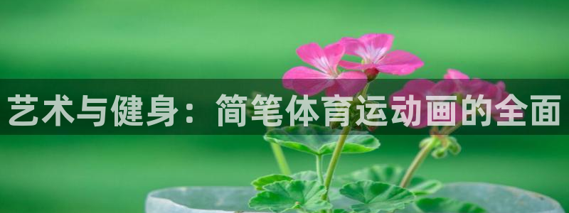沐鸣2登录注册