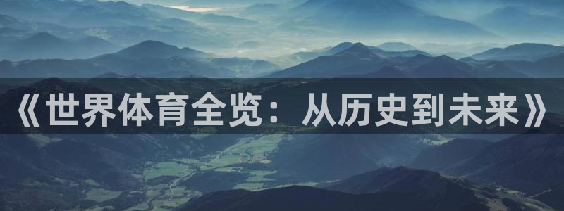 成都沐鸣2电子有限公司