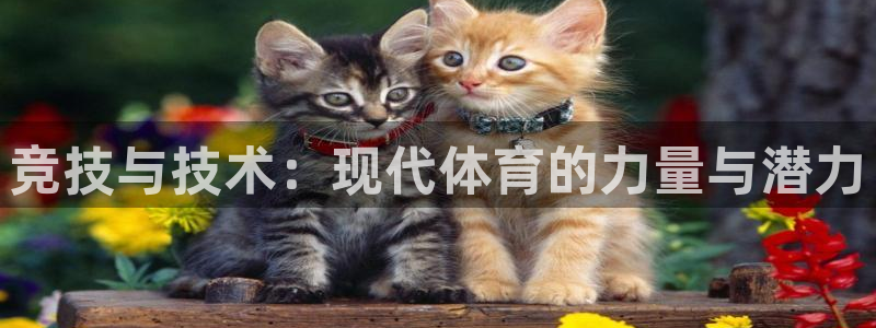 沐鸣2平台主管