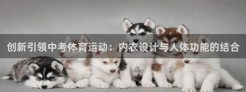 沐鸣2官网注册
