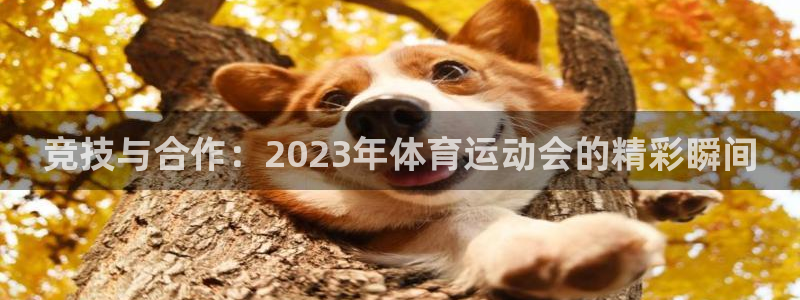 德国沐鸣2集团