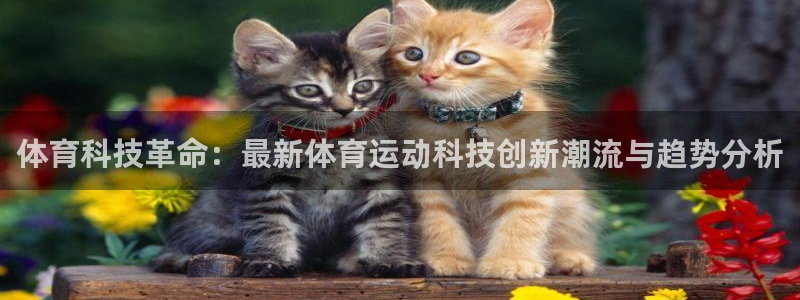 沐鸣2体育注册登录入口