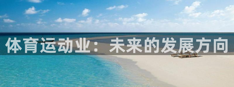 上海沐鸣2汽车电子有限公司
