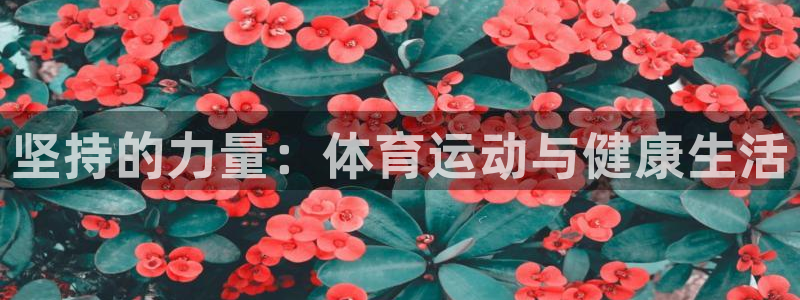 沐鸣注册官网入口