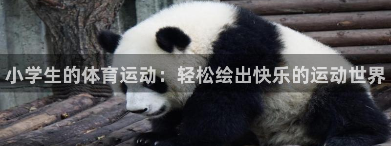 沐鸣2首页登录