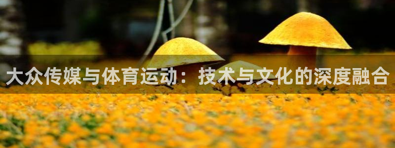 沐鸣2主管