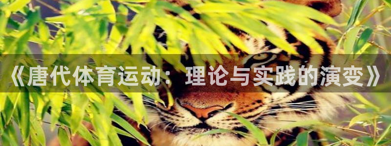 沐鸣2平台代理注册