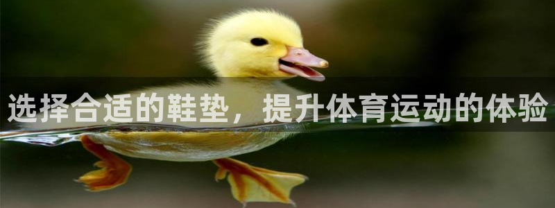 沐鸣2创业历程