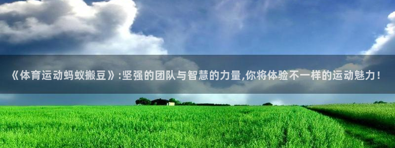 沐鸣2平台招商